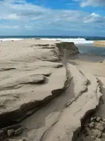 Beach Cut.webp