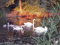 family outing.webp