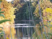 hidden perspective.webp