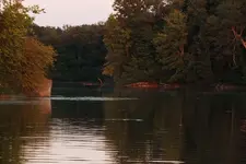 downriver.webp