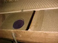 Trunk5.webp