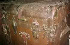 Trunk6.webp