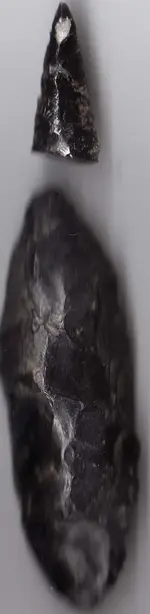 Arrowheads 1295.webp