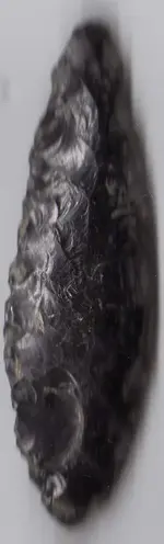 Arrowhead Four298.webp