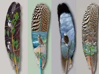 Feathers #1.webp