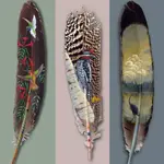 Feathers #2.webp