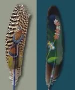 Feathers #3.webp