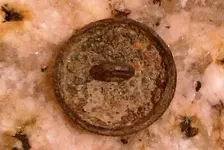 UH_Button_Back_070911.webp