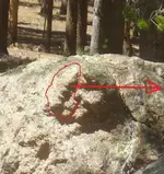 Camping 1 2011 034-PYP-crop1.webp