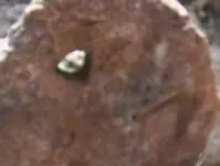 heartstone marker.webp