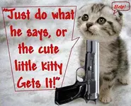 BlazingKitty.webp