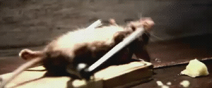 mouse.gif