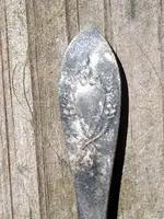 NH FINDS 08-30 011.webp