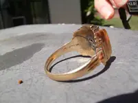 hanover class ring4.webp