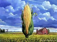 Corn Field with barn (432x326).webp
