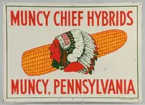 Corn Sign Indian date unknown (600x437).webp