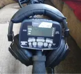 100_0038.webp