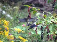 054.webp