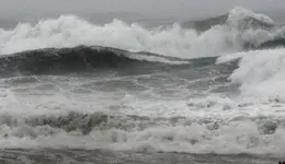 Irene, Ocena City, MD.webp