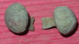 buttons.webp