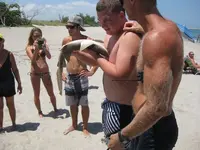 Shark Attack!.webp