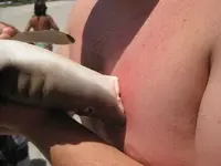 Shark Attack 2.webp