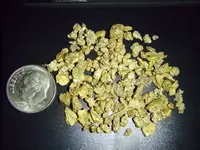 nugs.webp