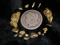 gold.webp