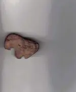 effigy33.webp