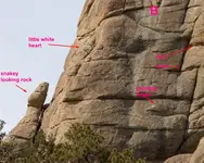 snake (Medium).webp