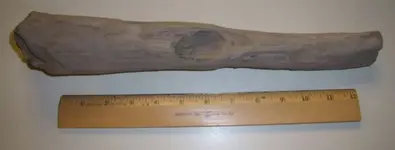 Petrified Branch.webp