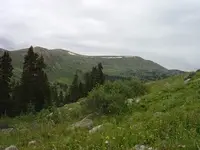 8.2.2006 finds 019a.webp