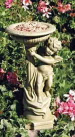 birdbath.webp