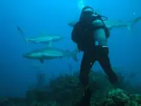 Bahamas0529.webp
