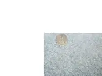 strange coin.webp