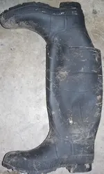 Boots.webp