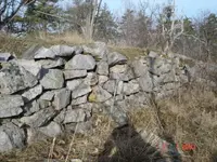 DSC05578.webp