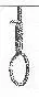 AVITAR NOOSE (36 x 88).webp