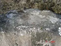 DSC05576.webp