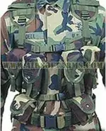 showpic.webp