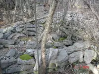 DSC05584.webp