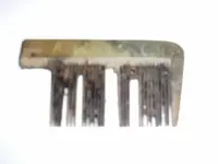 ALEXANDER COMB2.webp