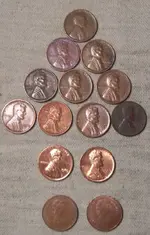 Penny1a.webp