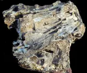 rockstrange.webp