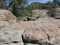 1 steves sheephearder rock rangler  marked.webp