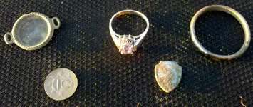 rings.webp