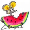 avatar_12617.webp