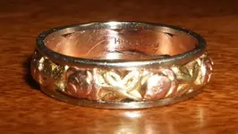 ring2.webp