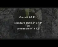 434.webp