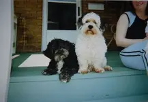 Timmy & Kirby - August 2003.webp